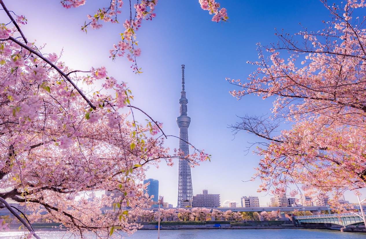 Japan’s Government Intervened to Prop Up the Yen