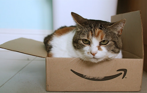 Amazon Launches Insurance Comparison Business in the UK