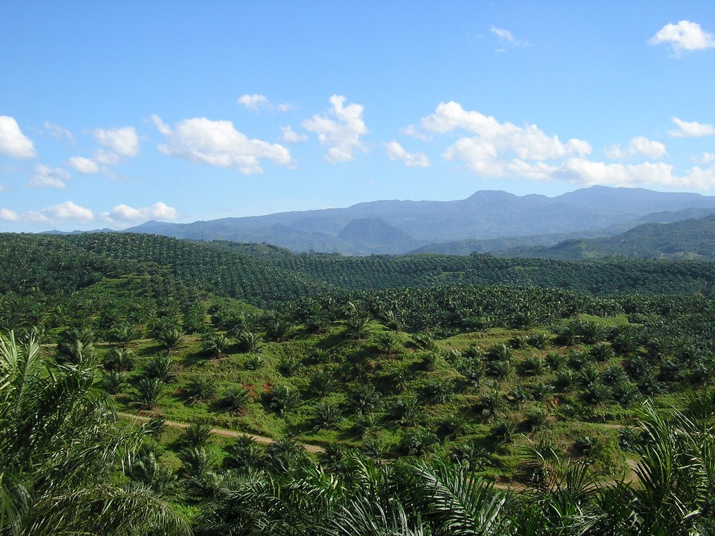 Malaysia Escalates Standoff With EU Over Palm Oil