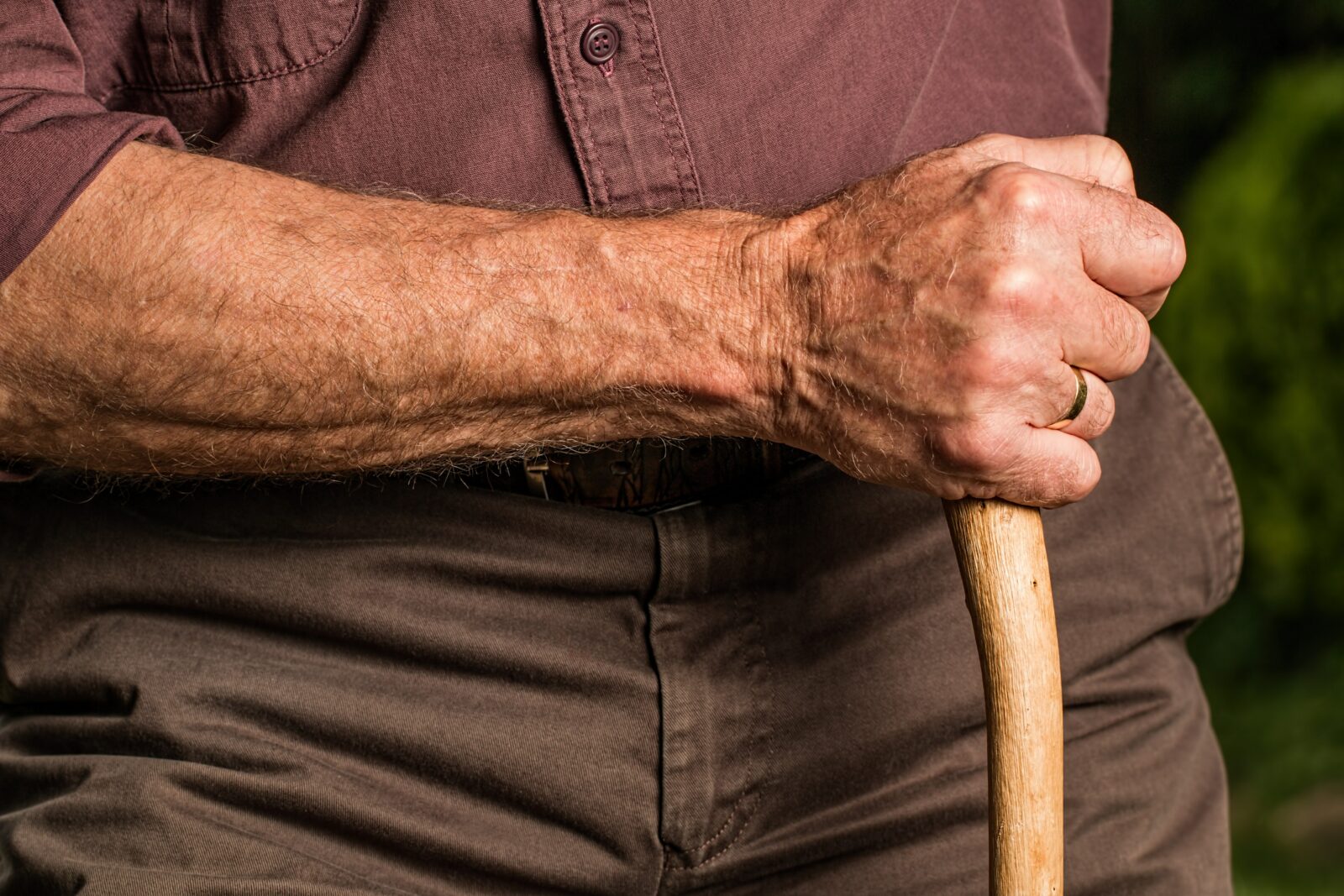 The Economics of Graying Populations