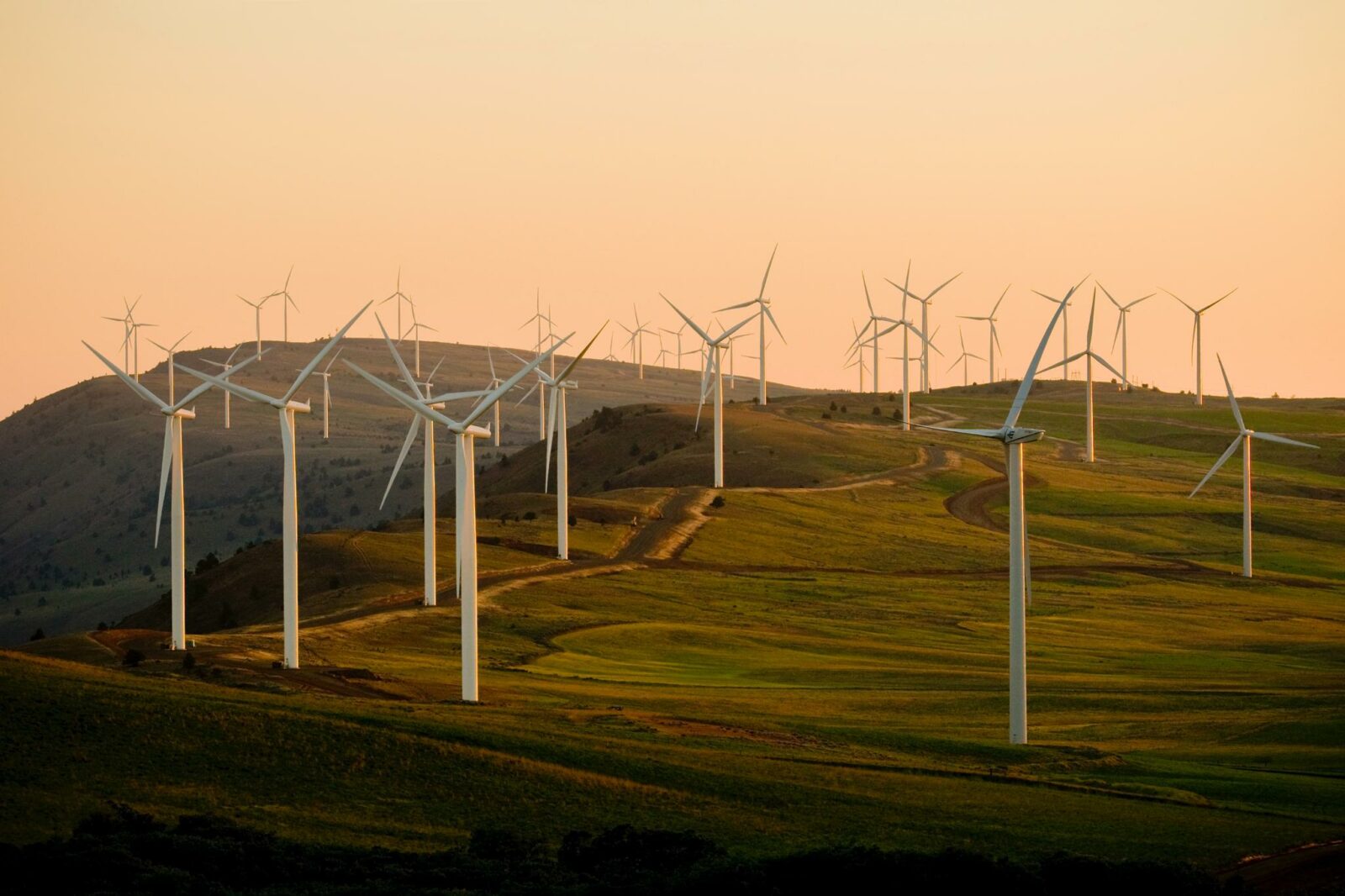 Ozempic-Maker Invests in Renewables