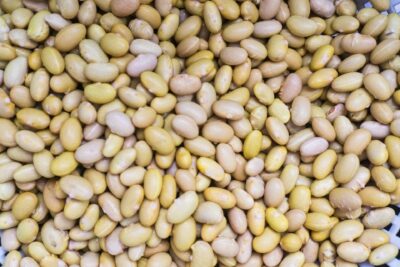 Agriculture Titans Are In a Head-to-Head Battle for America’s Soy Farmers