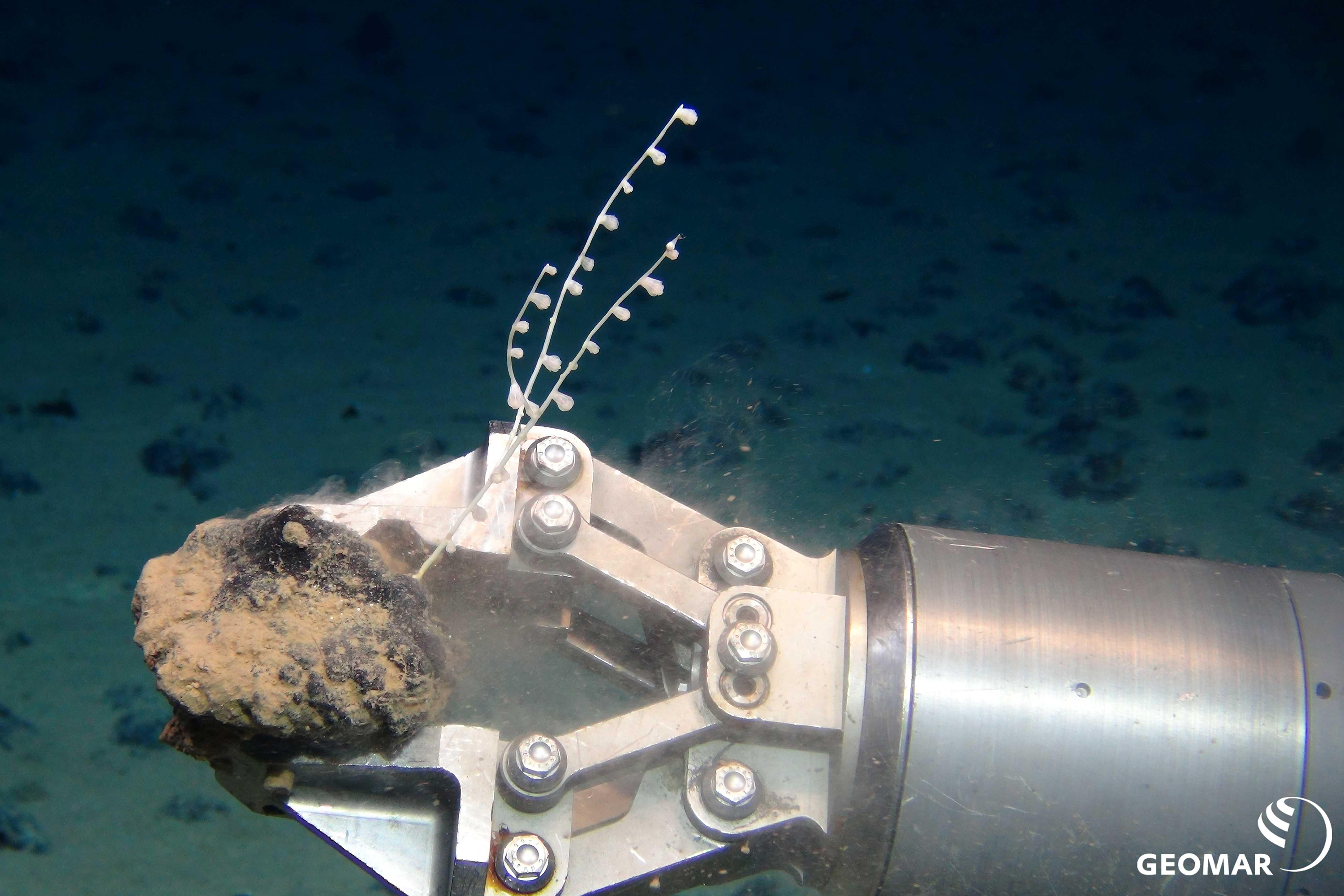 Photo of deep-sea mining machinery