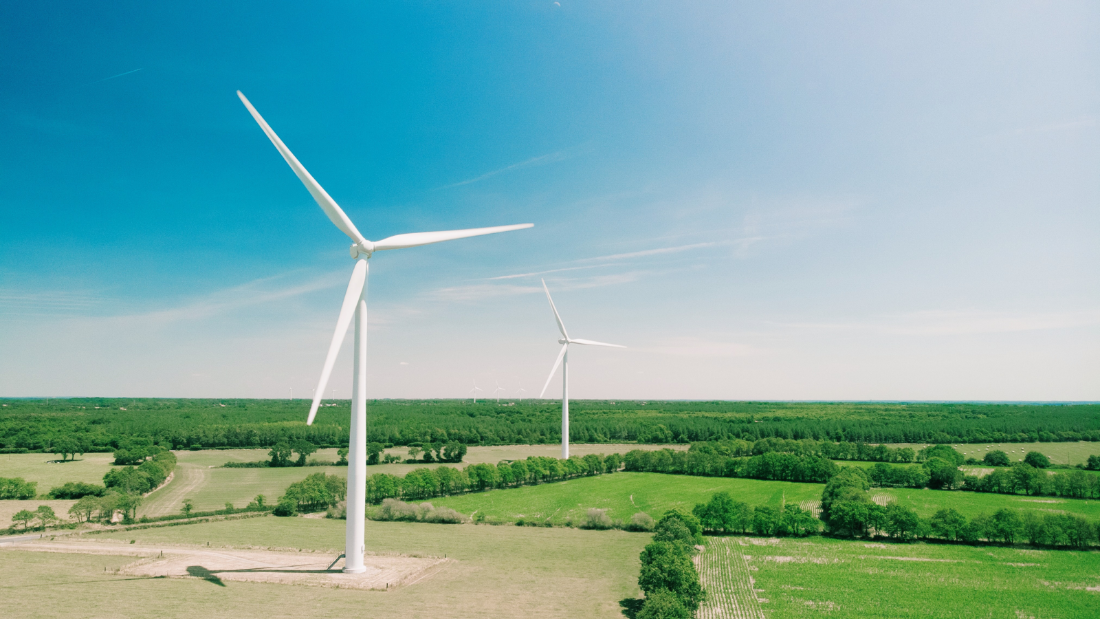 After Oil, the UAE Wants to be a Renewables Giant