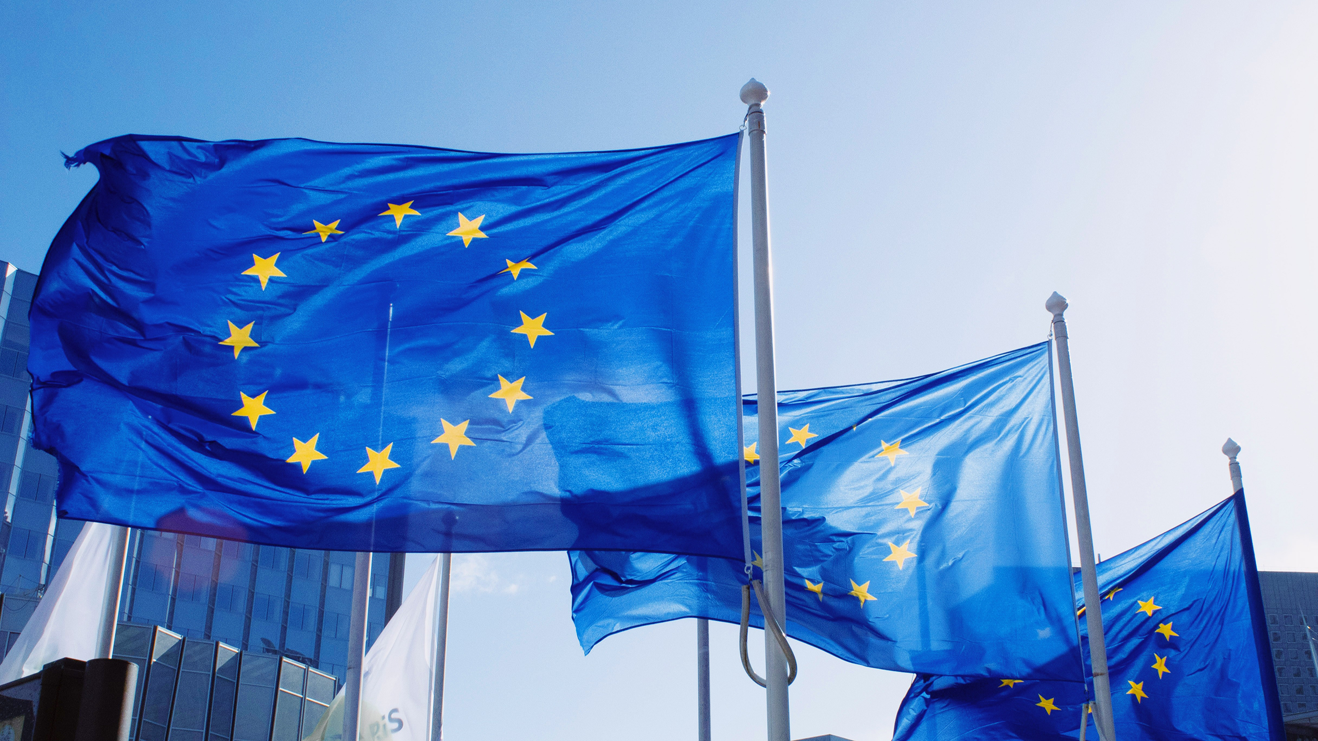 Photo of European Union flags