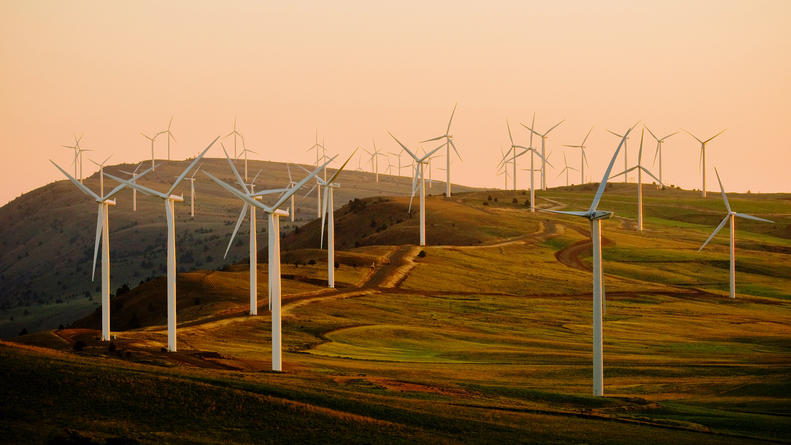 Photo of a wind farm