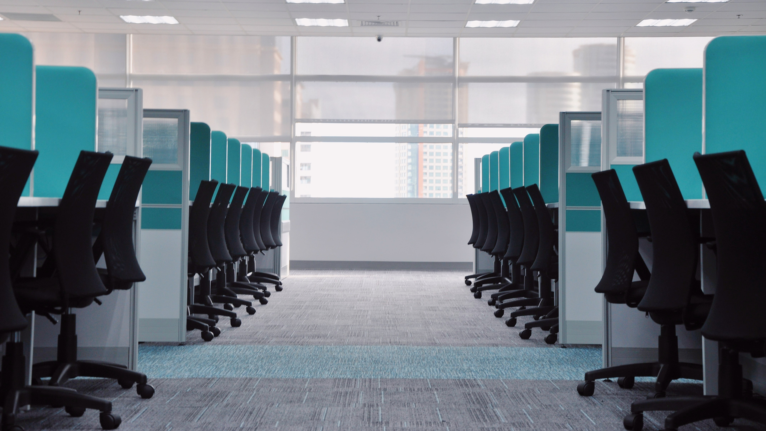 Photo of empty office cubicles