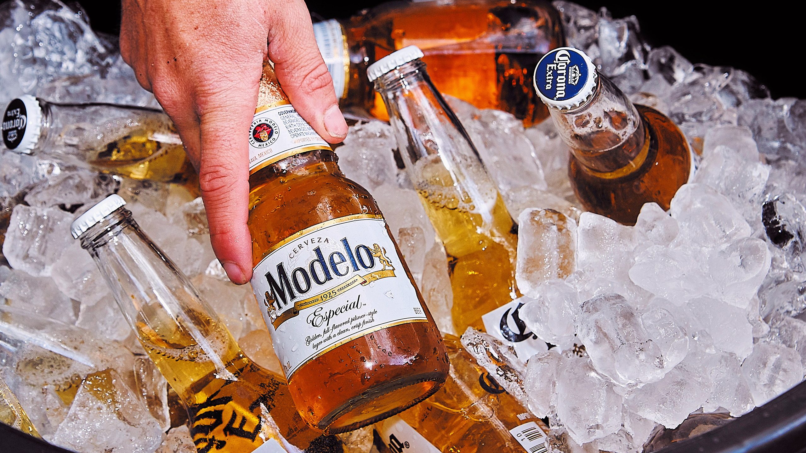 Photo of a person holding a Modelo beer over an ice chest