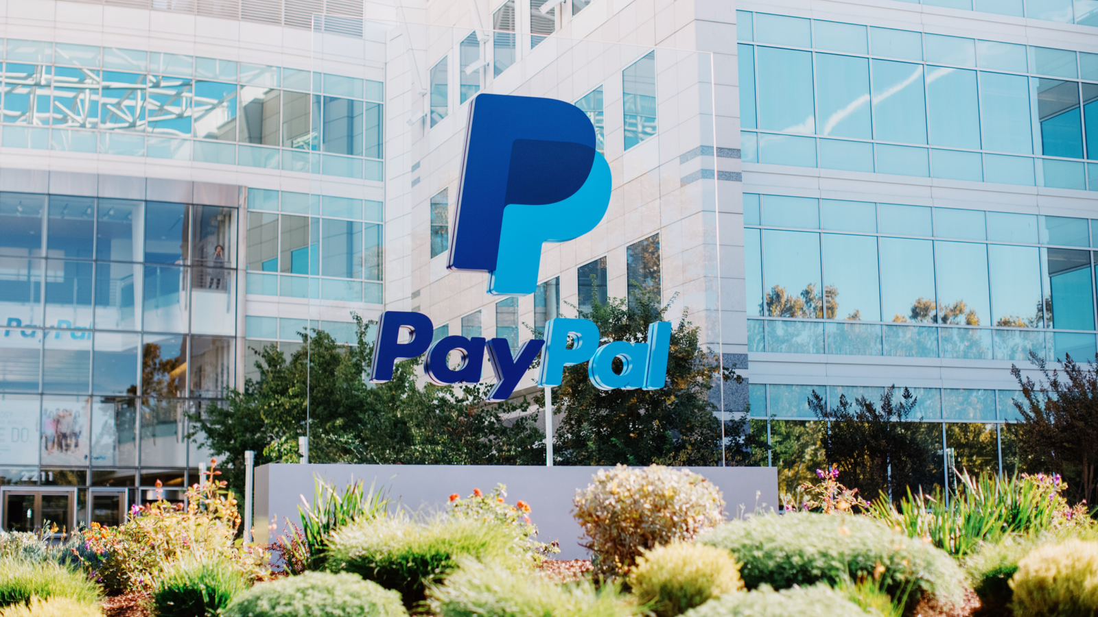 PayPal Grows a New Ads Business