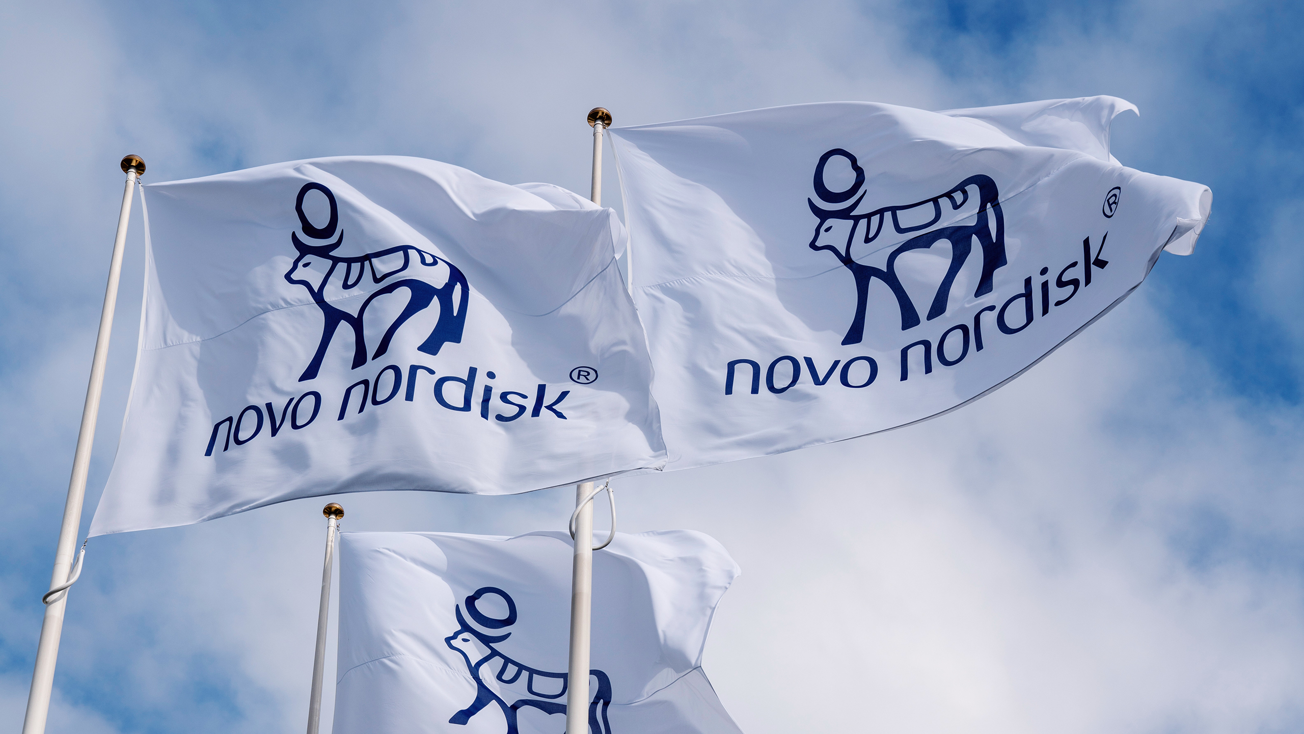 Photo of three Novo Nordisk flags