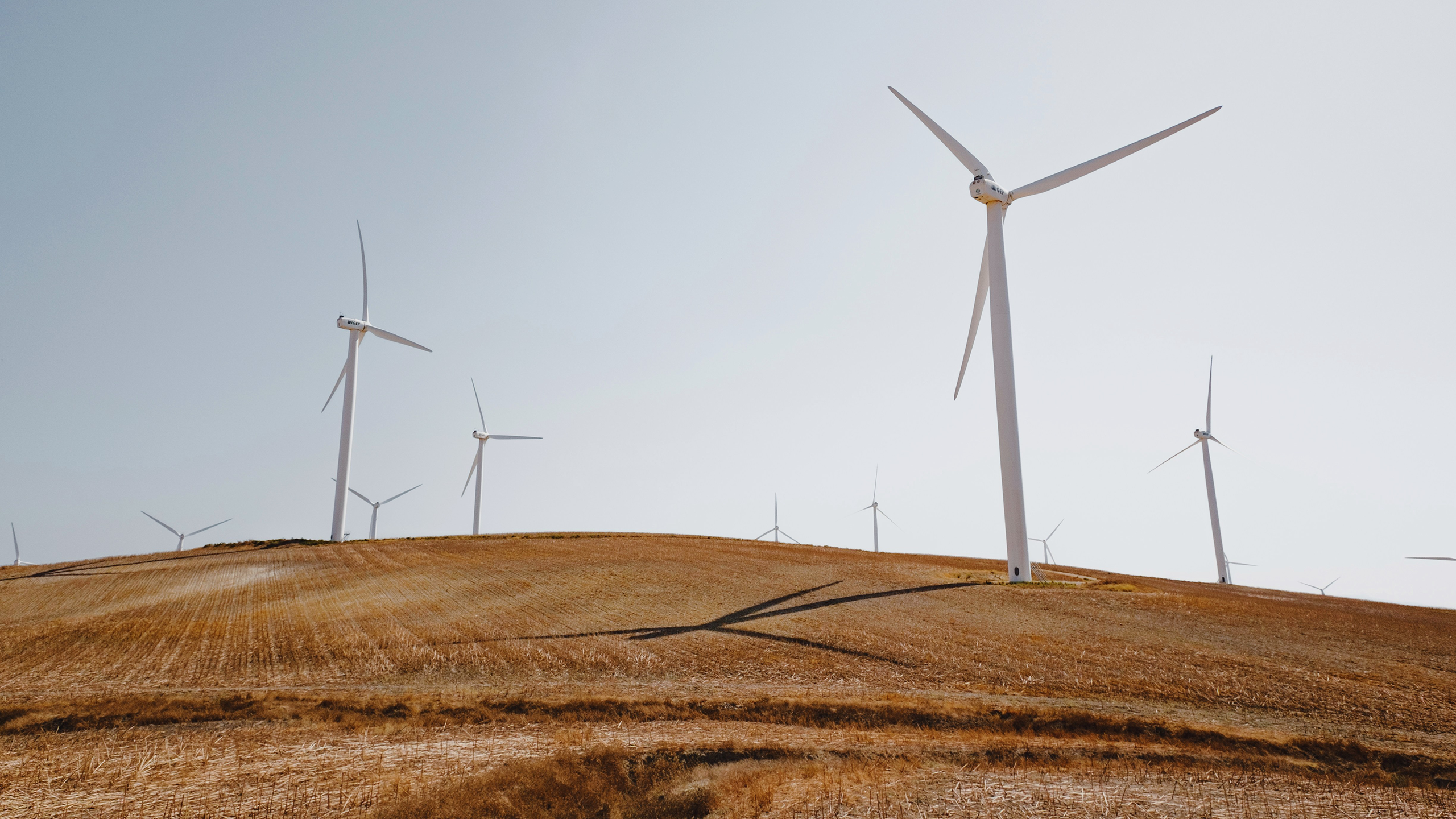 Photo of onshore wind turbines