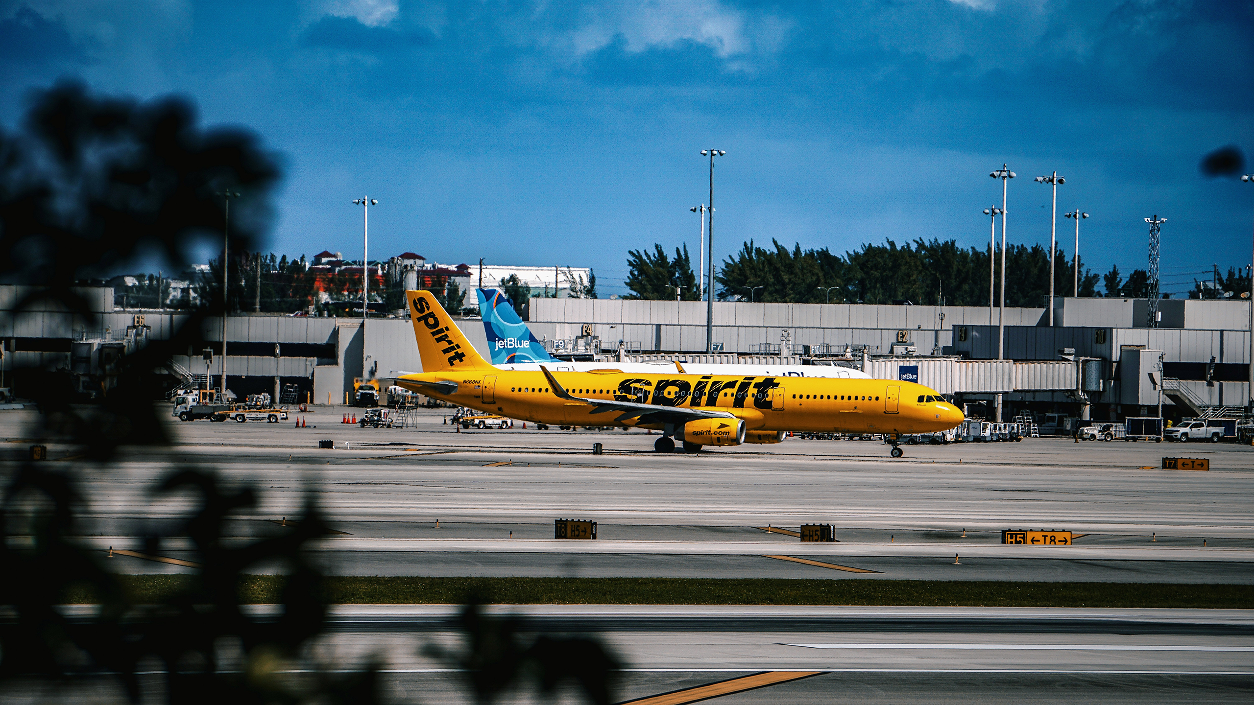 Photo of a Spirit Airlines plane on a runway