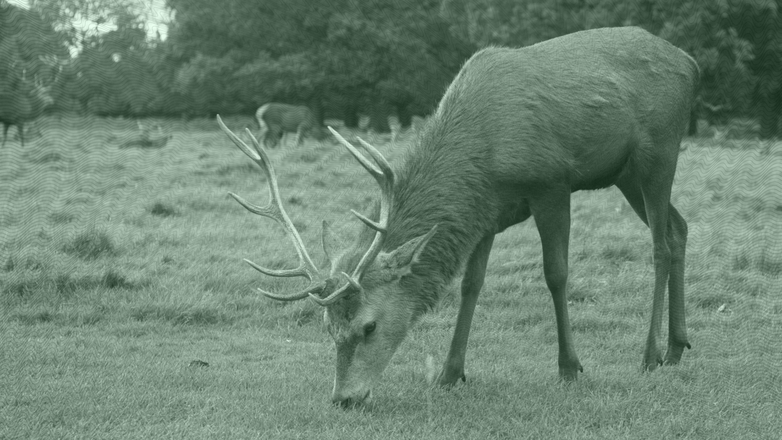 The Worst Stag Party Ever?