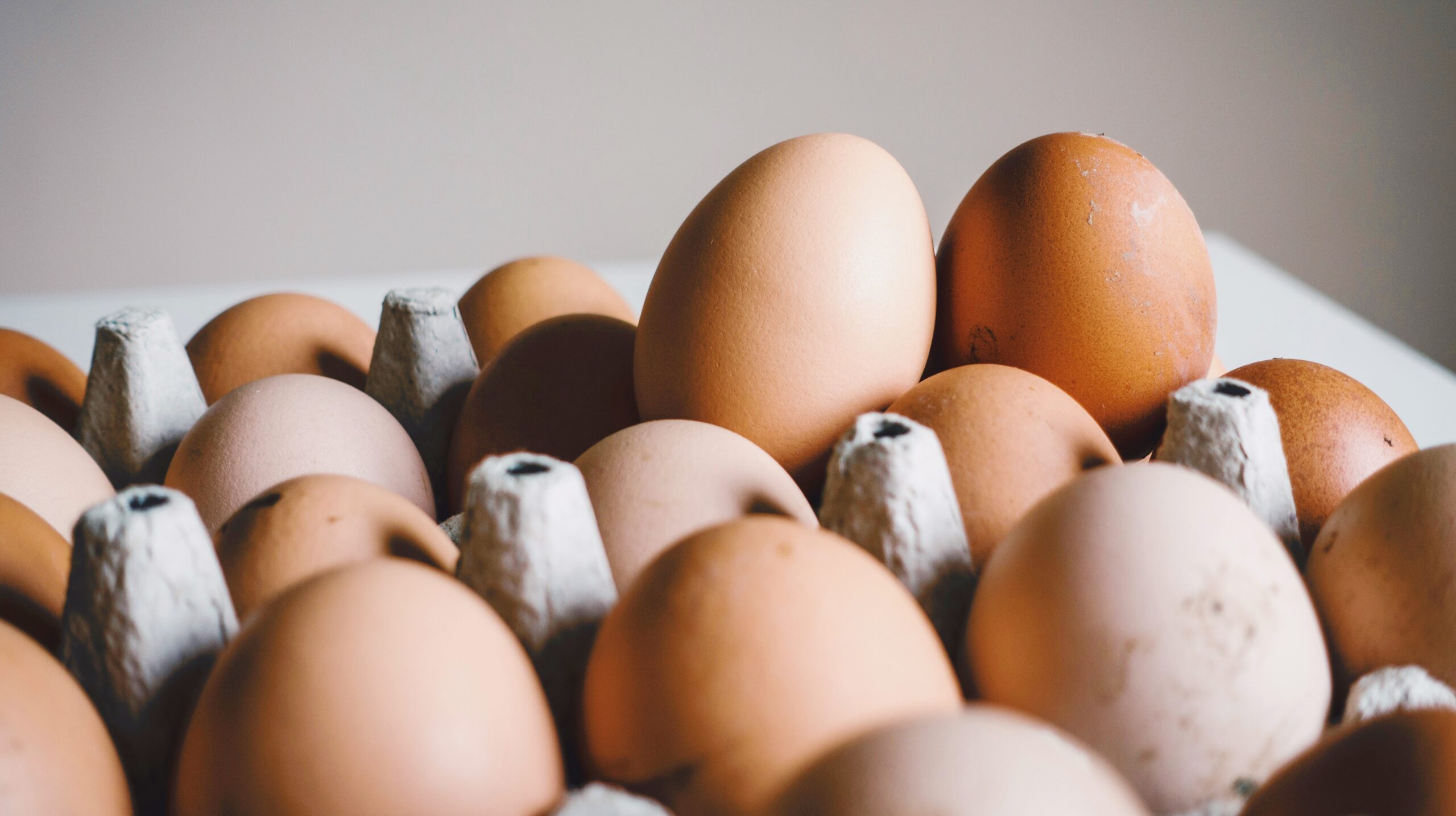 Photo of eggs in a carton