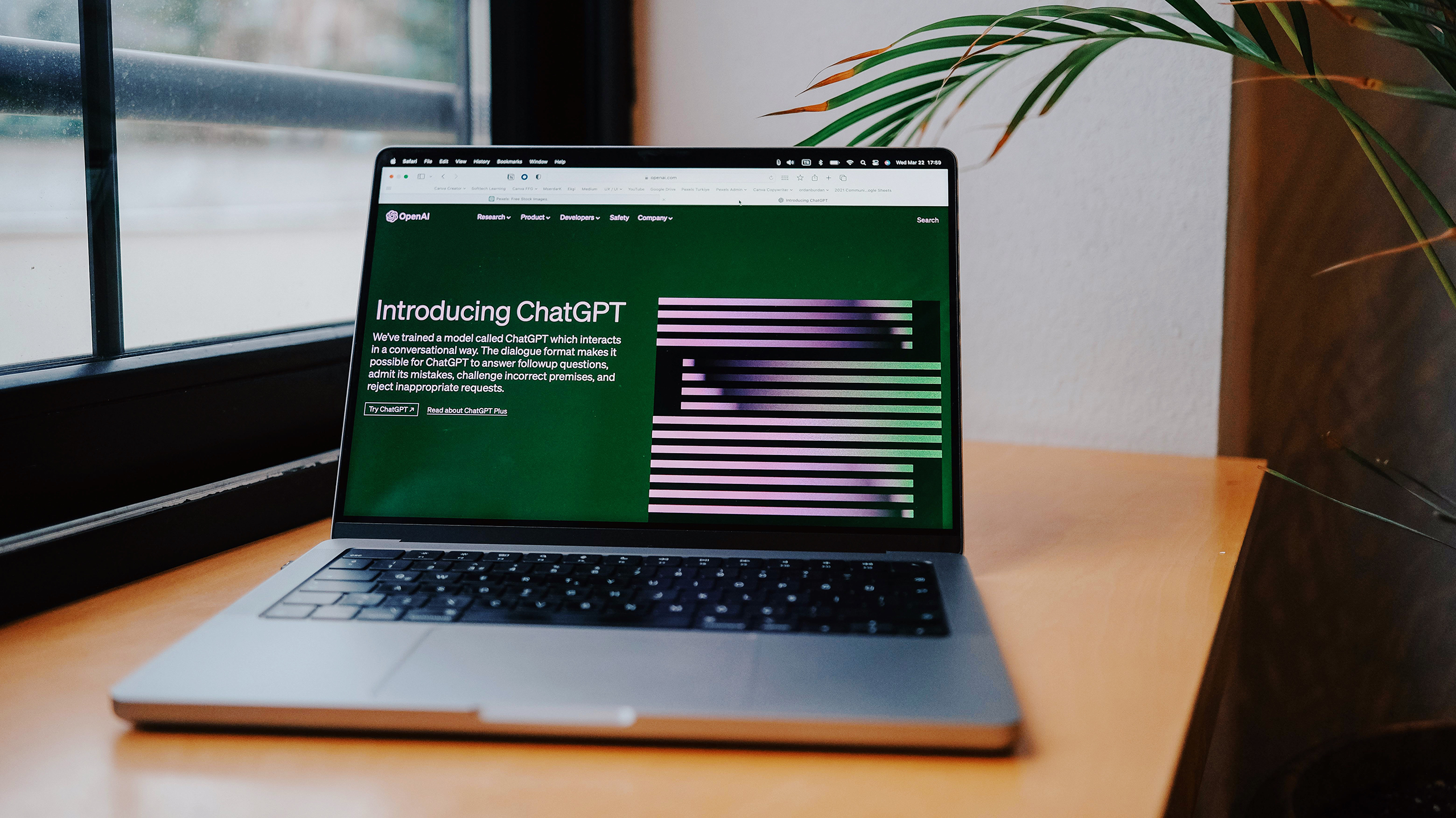 Photo of OpenAI's ChatGPT on a laptop