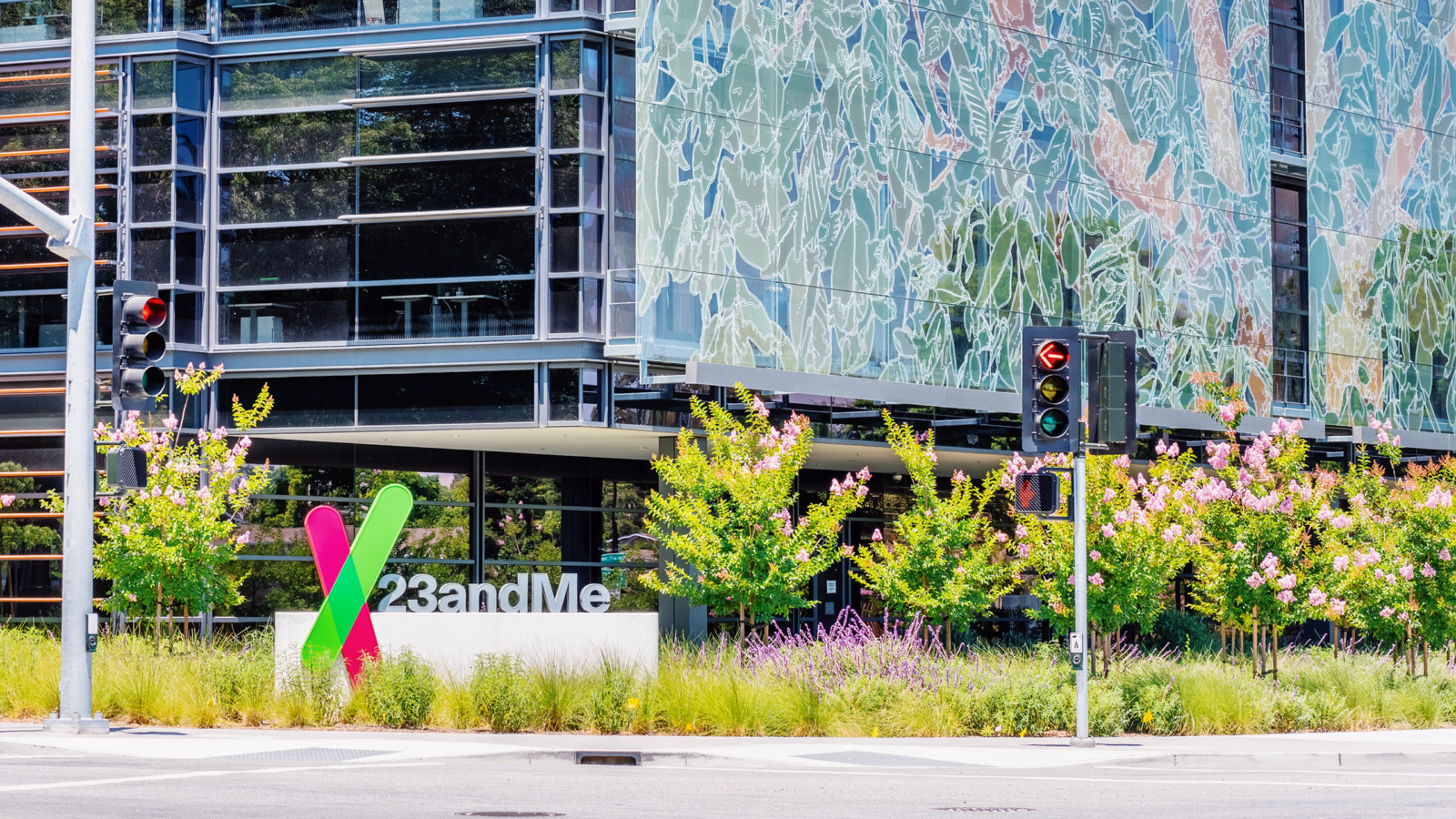 23andMe Bankruptcy Leaves 15 Million Customers’ Genetic Data in Limbo