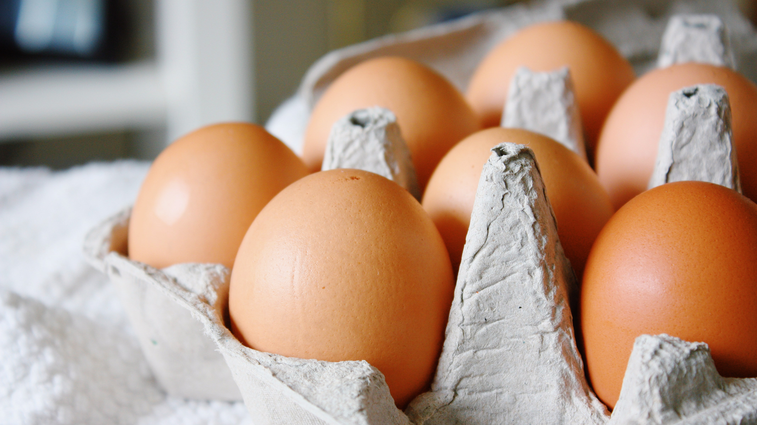 Photo of a carton of eggs