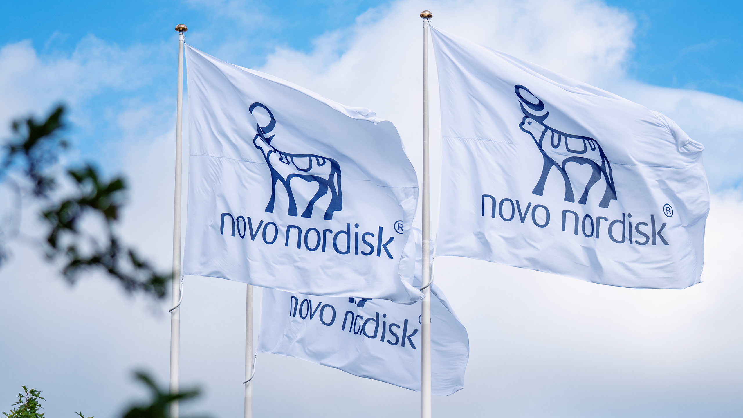 Photo of the Novo Nordisk flags