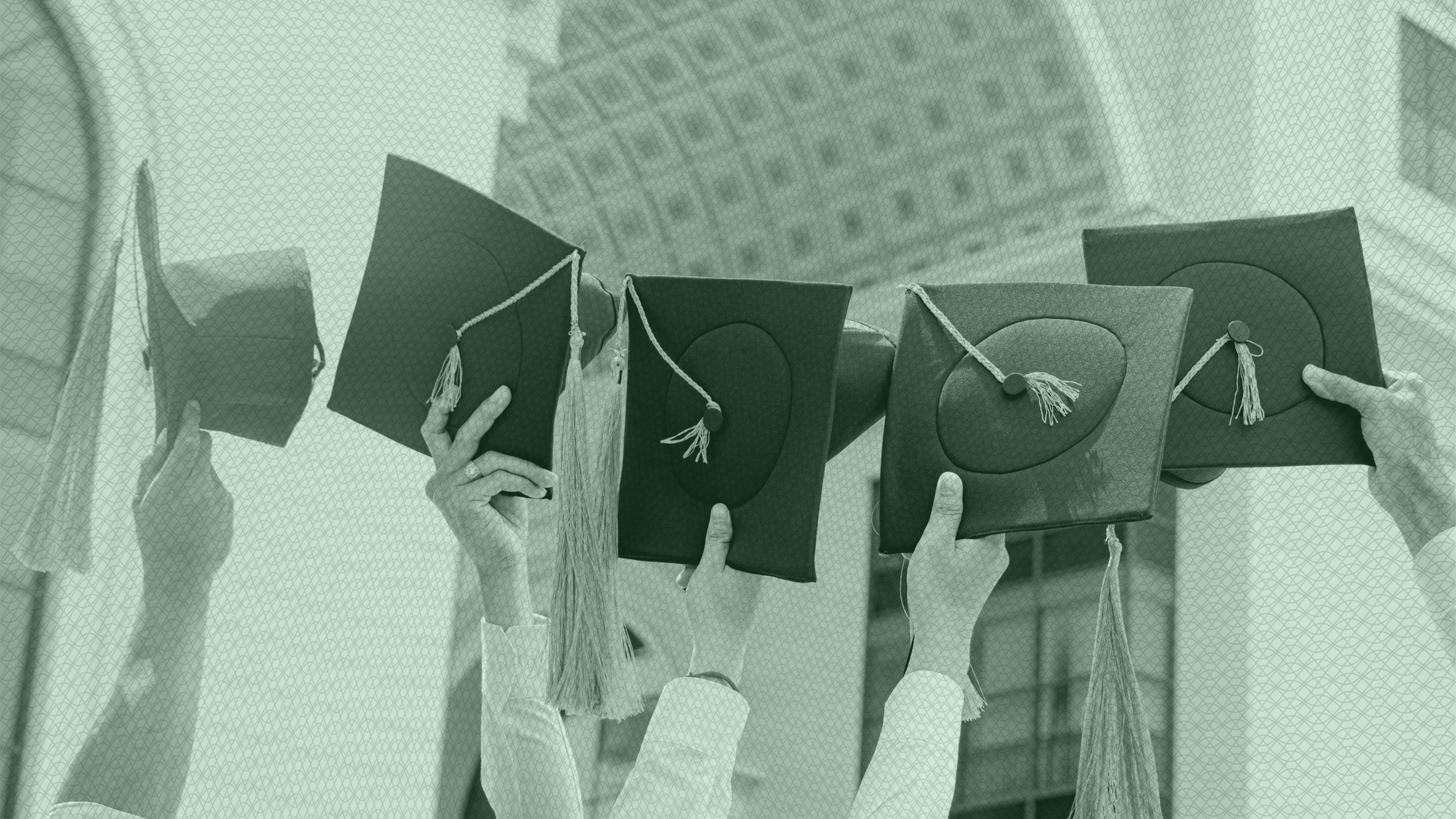 Photo of graduates holding up grad caps