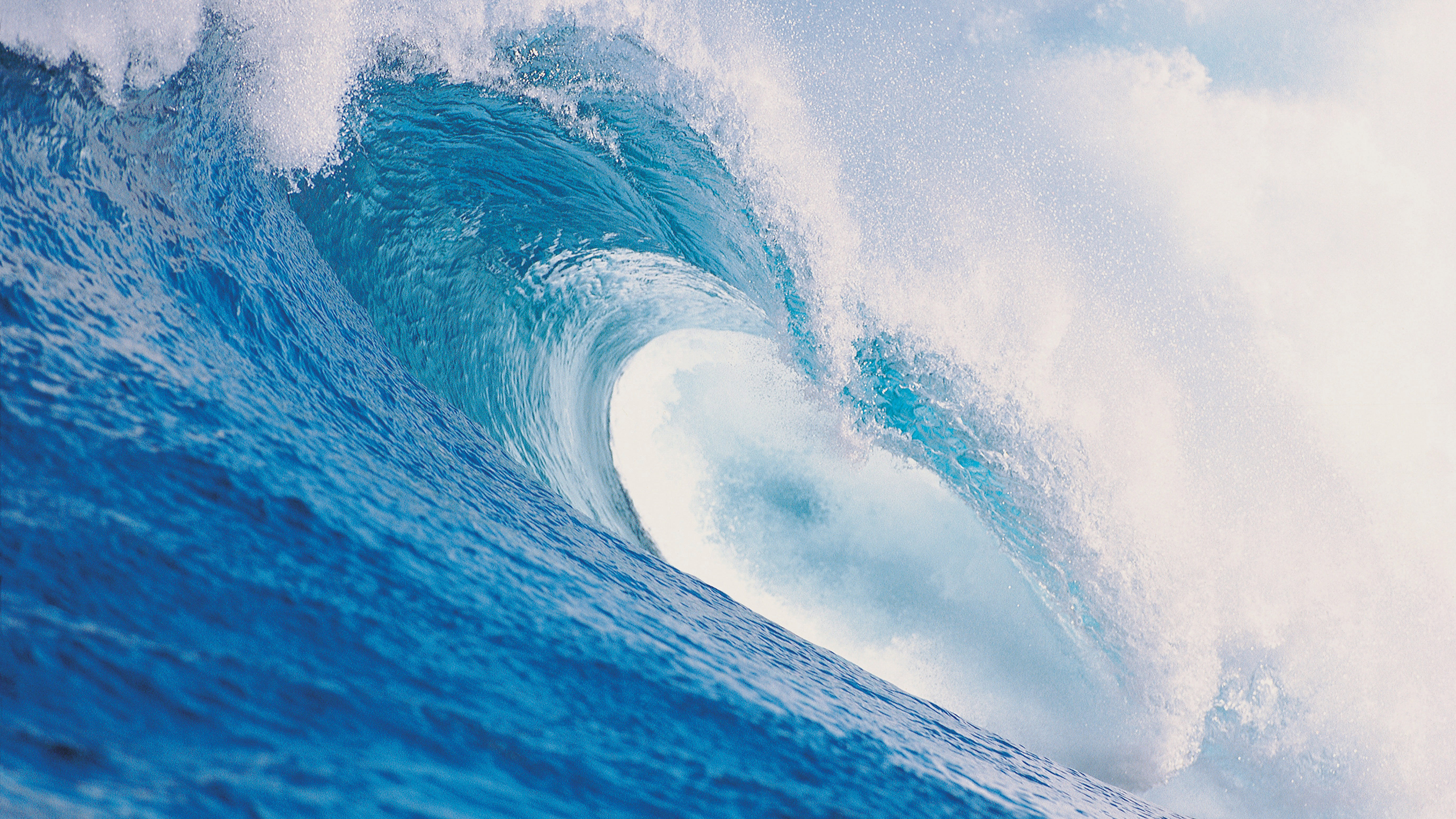 Photo of a tidal wave