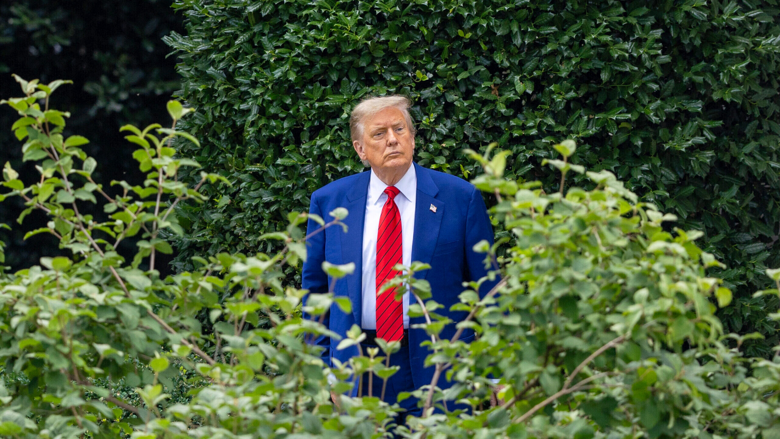 Trump Media Delays Registration for Bitcoin ETF