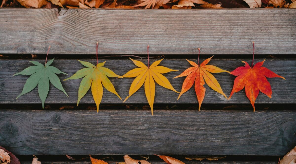 Are Cyclical ETFs Worth the Boom and Bust?