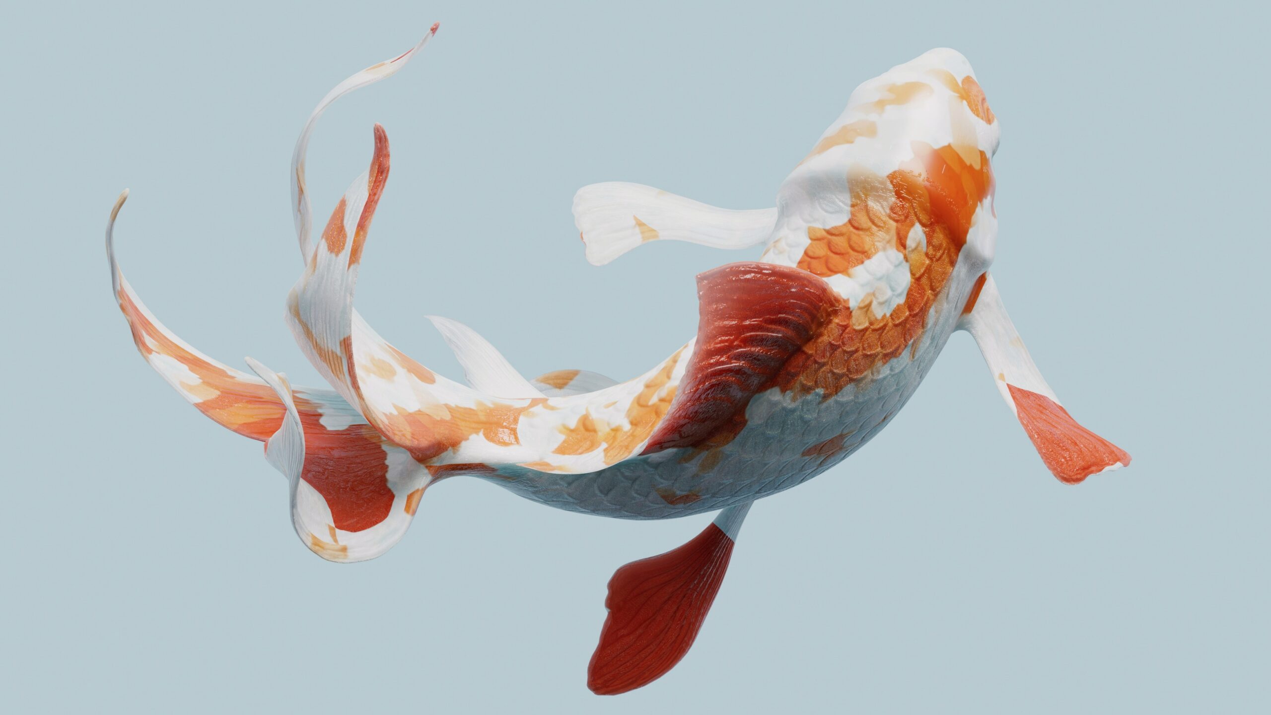 Photo of a fish
