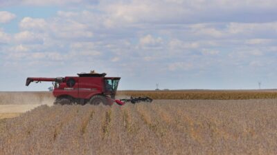 Latest Trade War Salvo Gives Farming Giant ADM a More Valuable Cash Crop