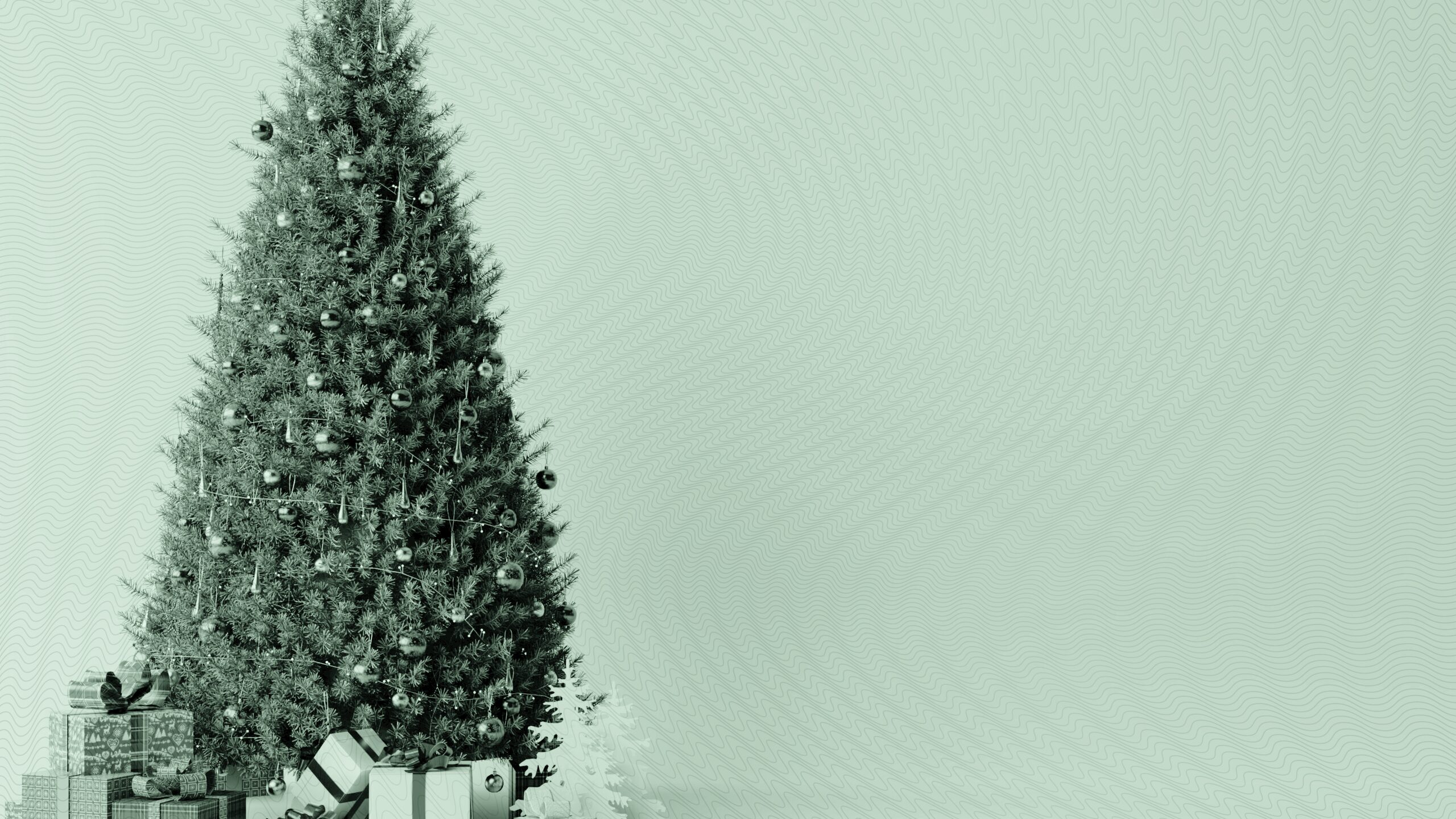 a christmas tree.