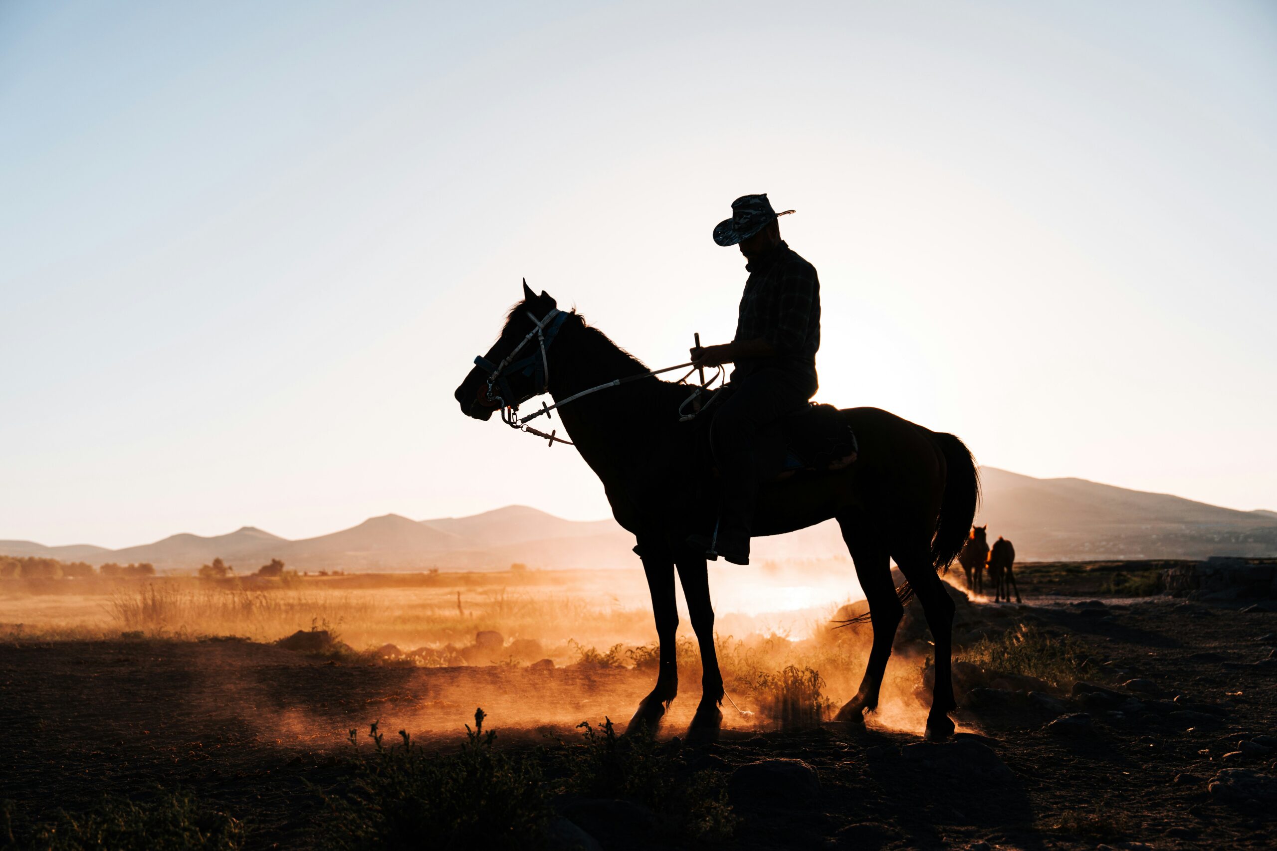 A cowboy on horseback.
