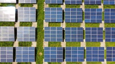 ESG Hits Record $799B in ETF Assets Globally