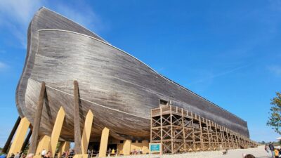 Cathie Wood’s ARK Invest Takes Best-Performing Issuer of 2025