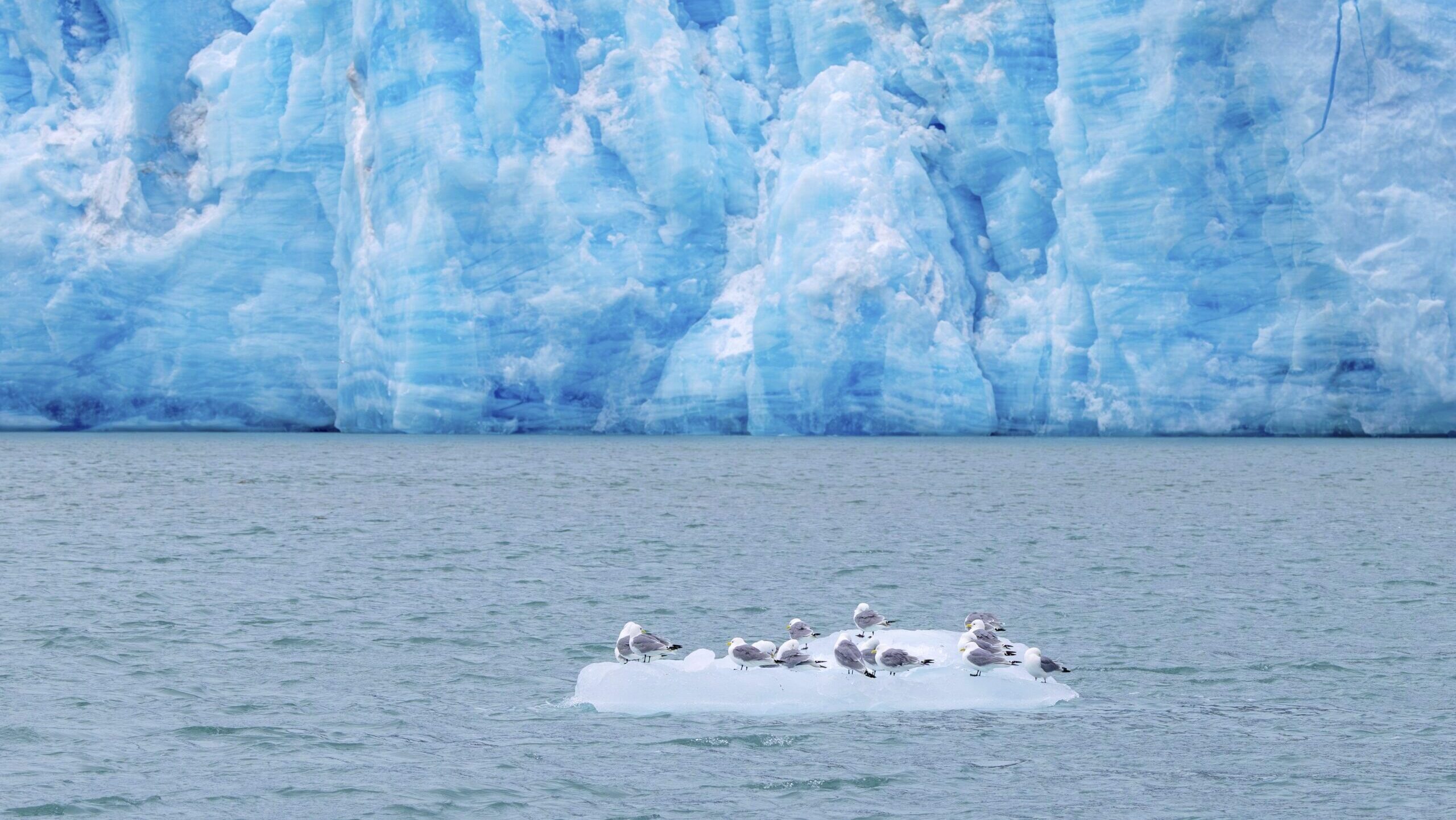 Photo of an iceberg.