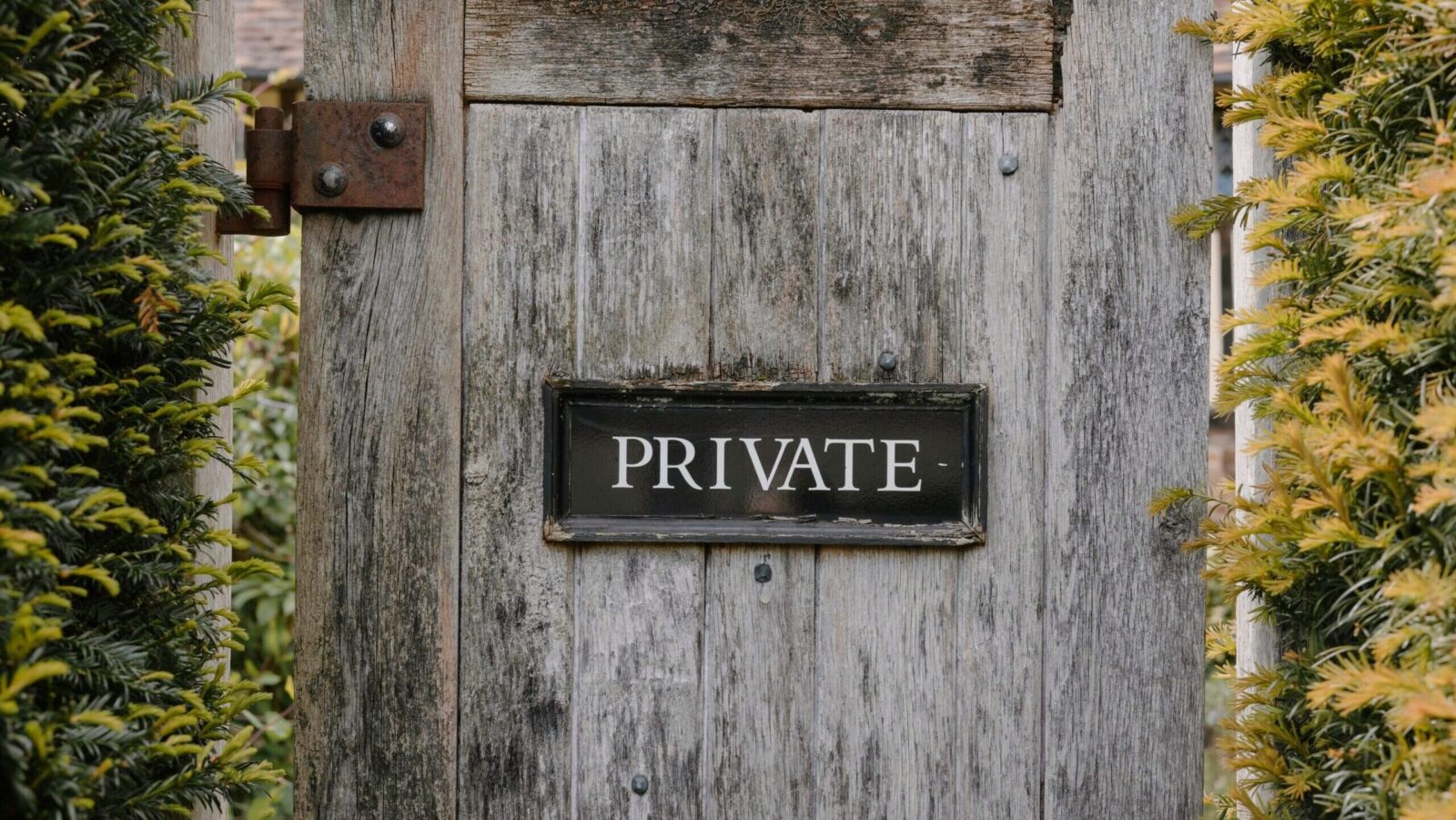 Fidelity Adds Models with a Taste of Private Markets 