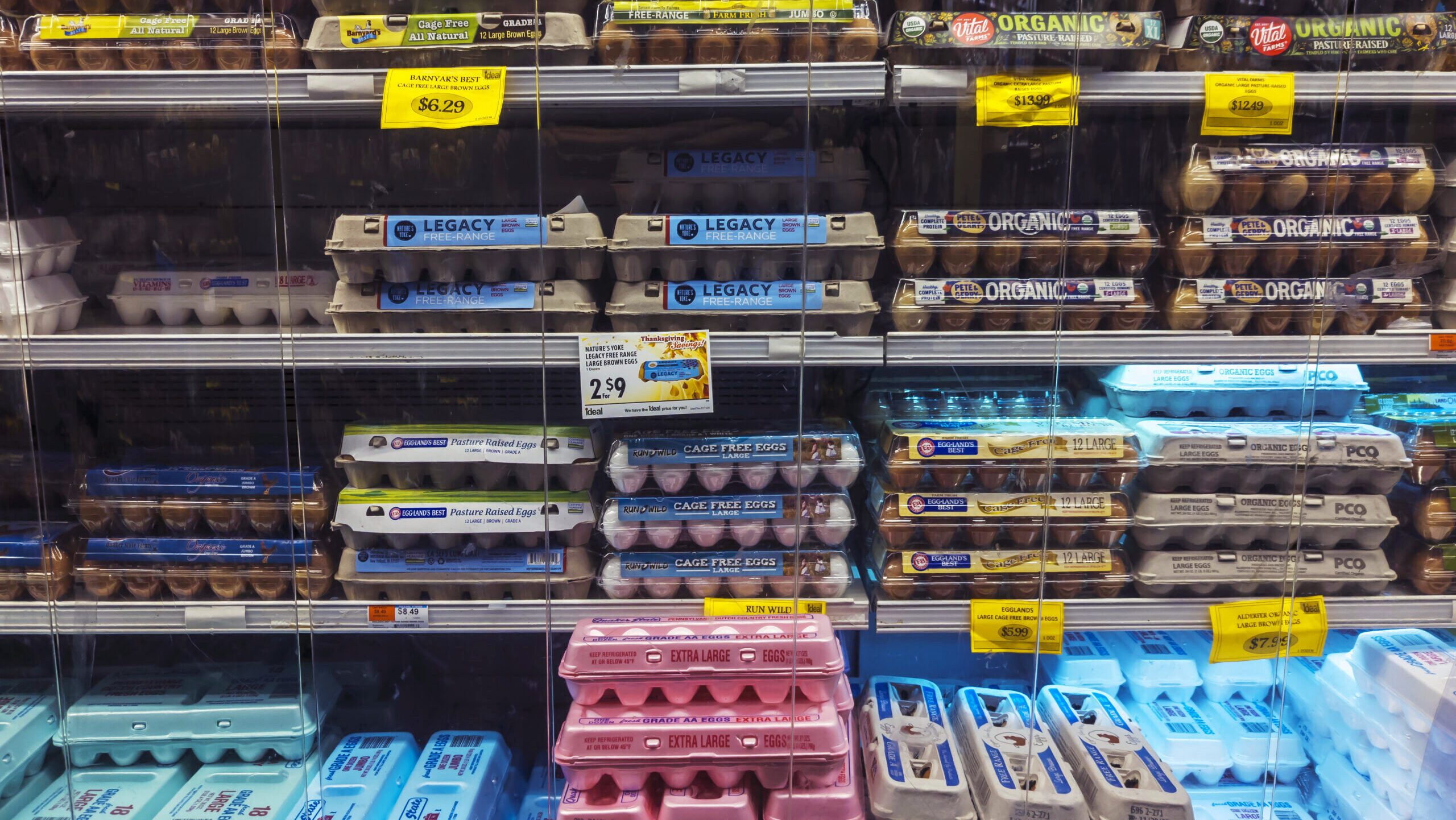 Cartons of eggs at a super market