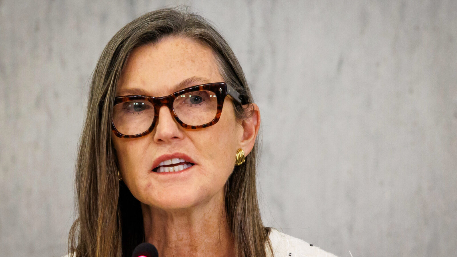 Cathie Wood’s ARK Sparks Wall Street FOMO with Investment in Sagging Palantir