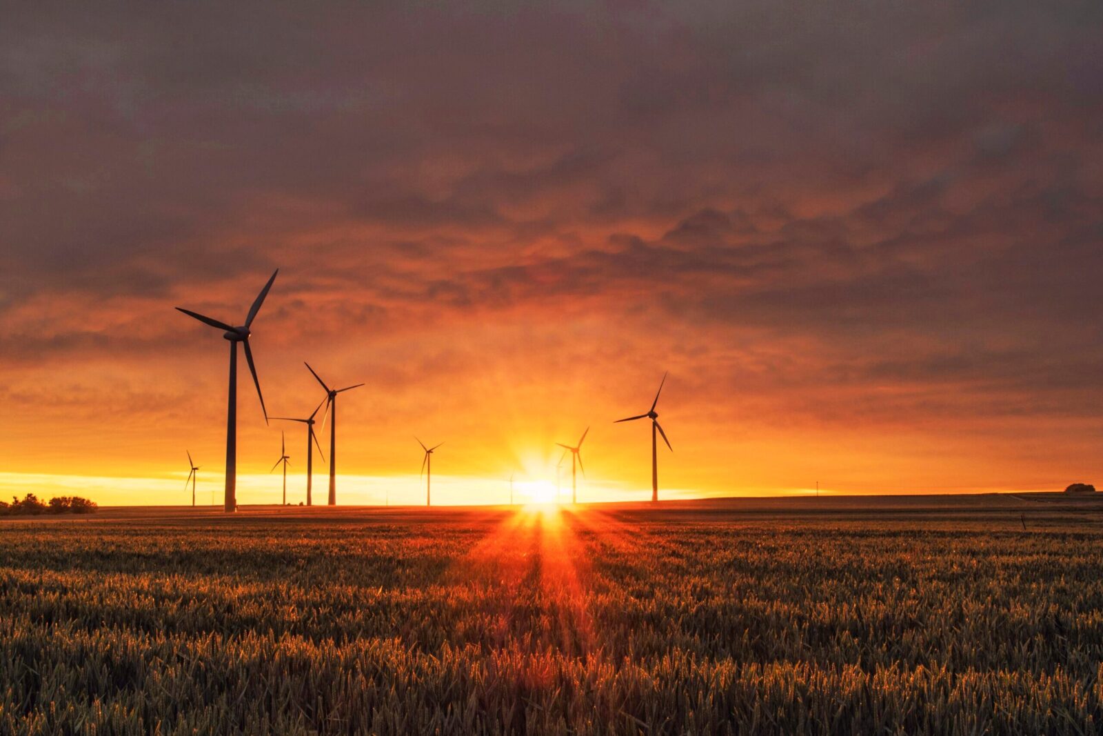 Some ESG Funds Are Booming. That’s Not the Whole Picture