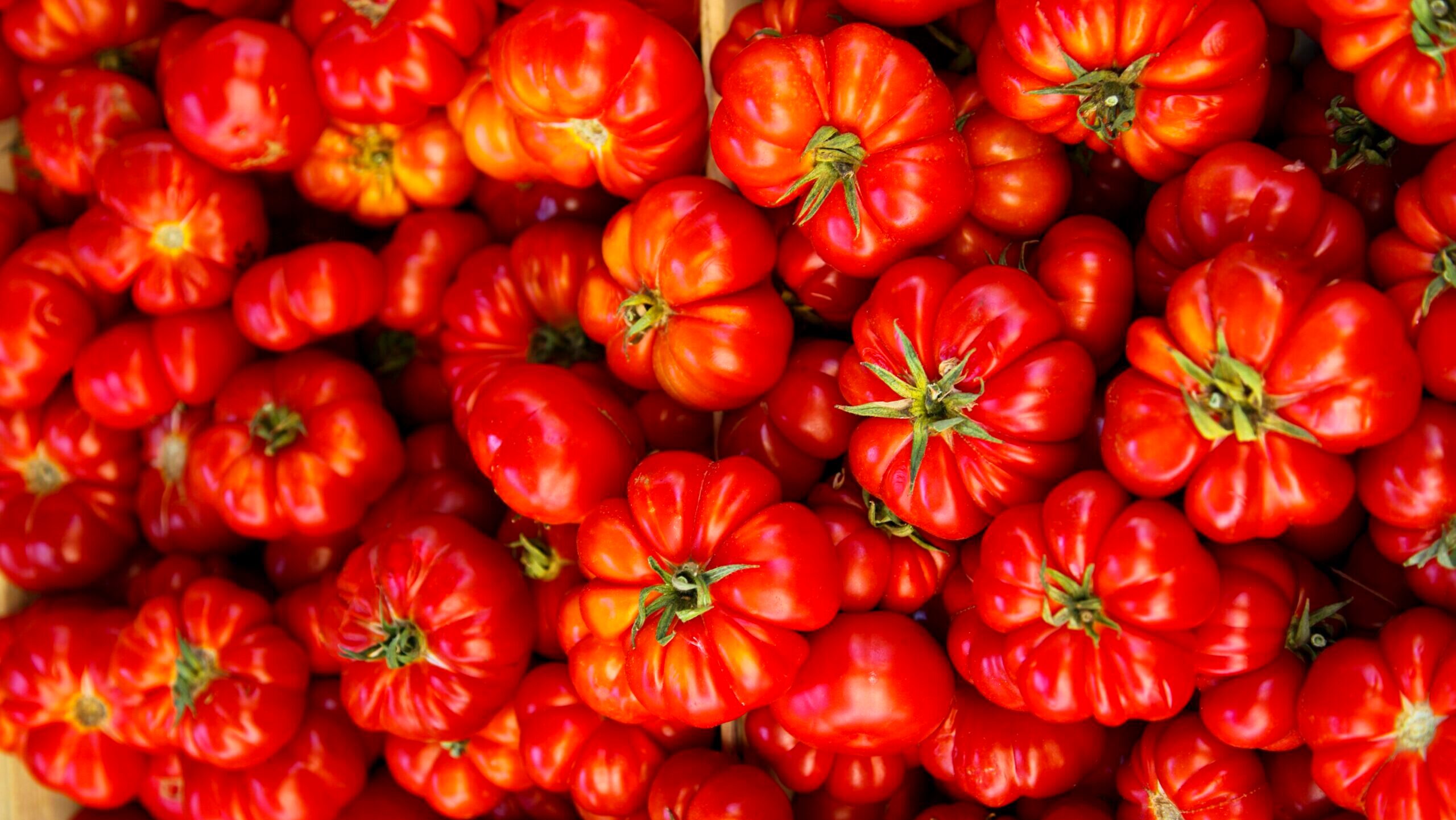 A pile of fresh tomatoes is shown up close.
