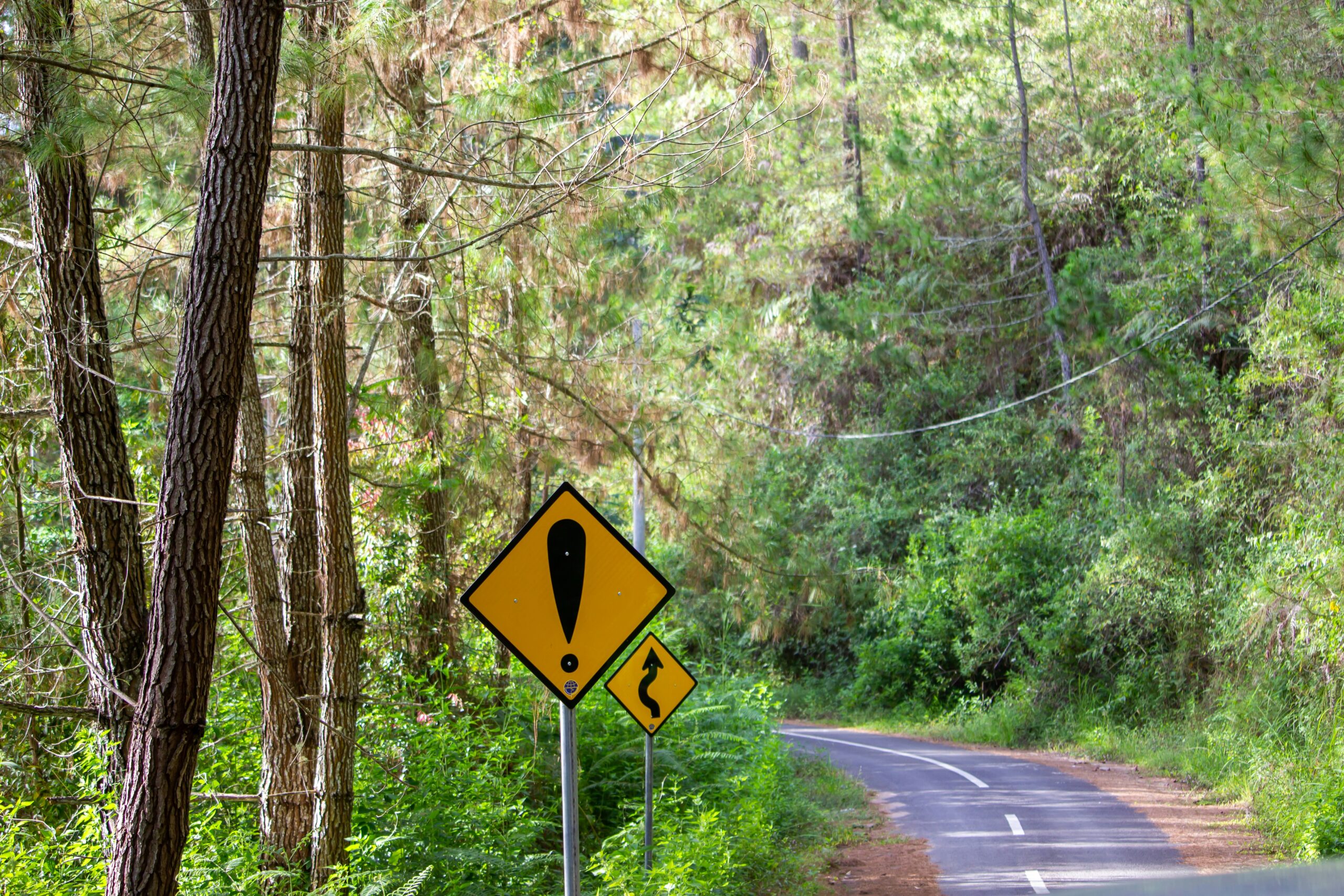 Photo of two yellow and black warning signs by the side of a curvy road.
