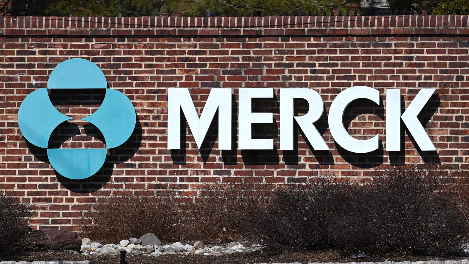 Germany’s Merck Pumps Up Life Sciences Biz with $11.3B Bio-Techne Deal