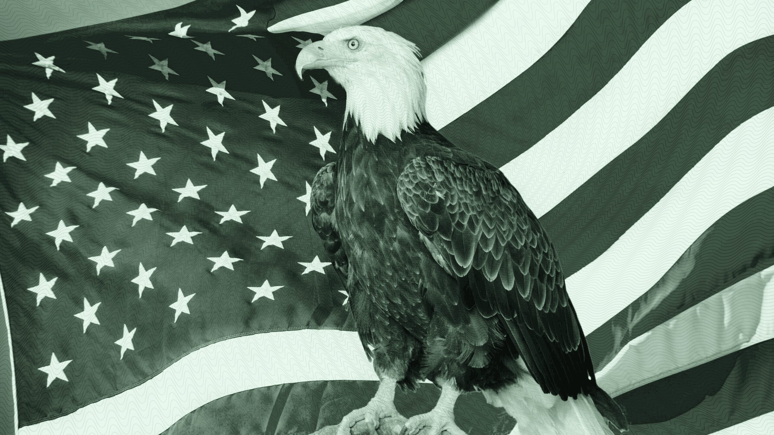 An eagle and American flag.
